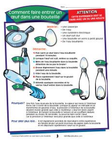 Comment entrer un oeuf dans une bouteille