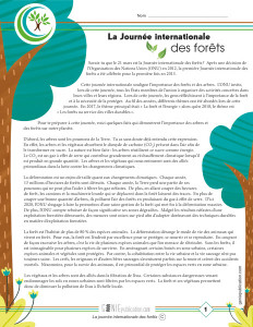 La Journée internationale des forêts