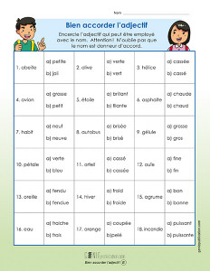 Bien accorder l'adjectif !